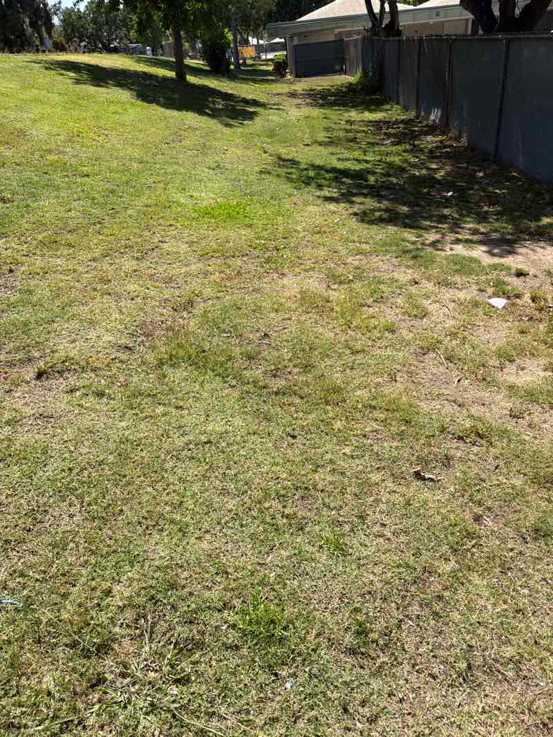 walking near me in Peralta Canyon Park in summer