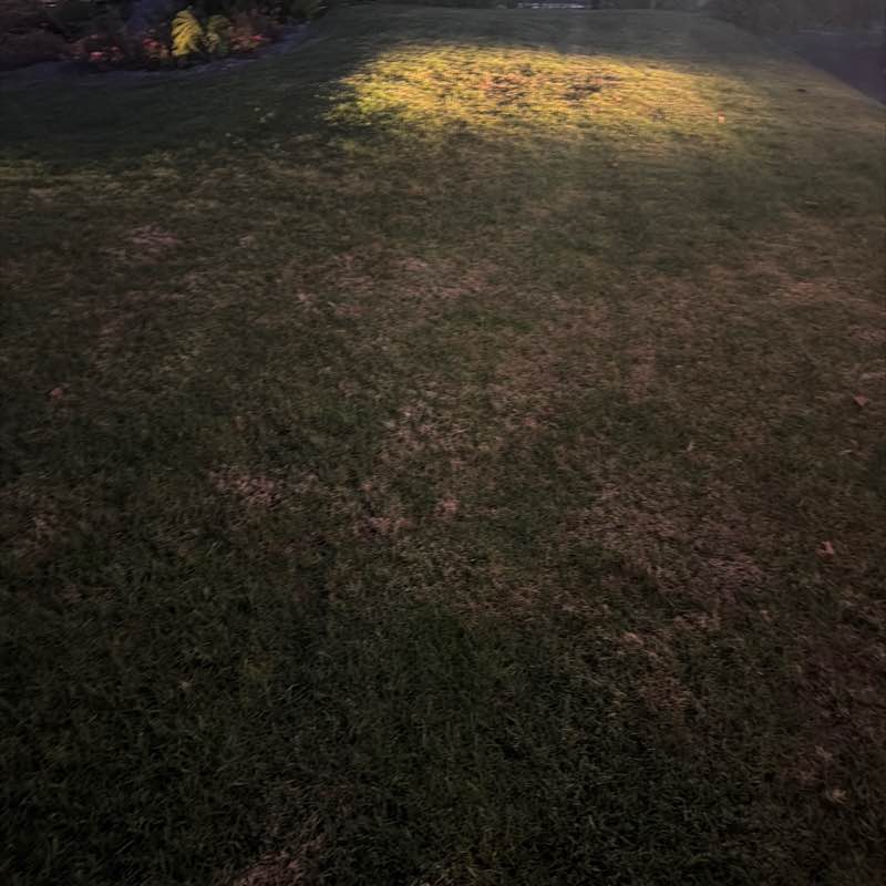 milkbundy post 1