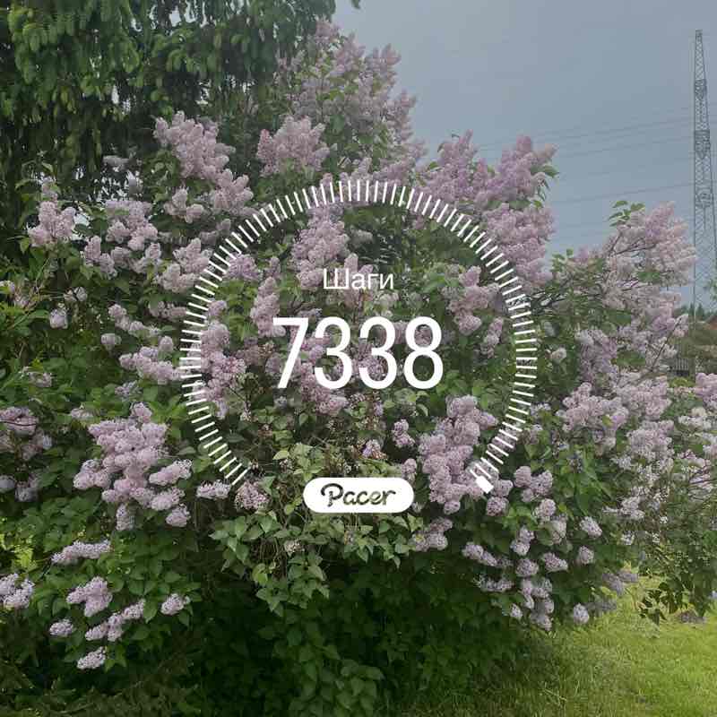 сергей post 1