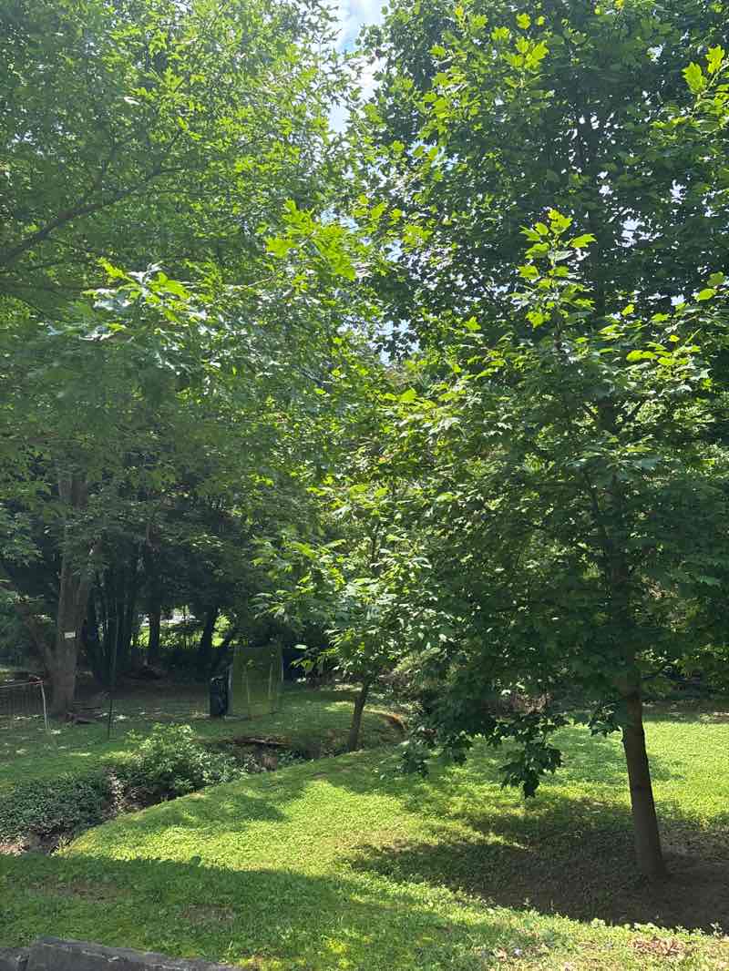 walking near me in Parkside Circle Park in summer