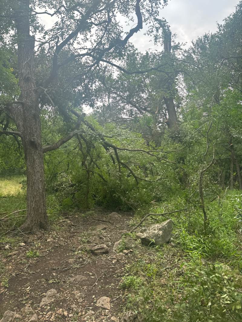walking near me in Prospect Park in winter