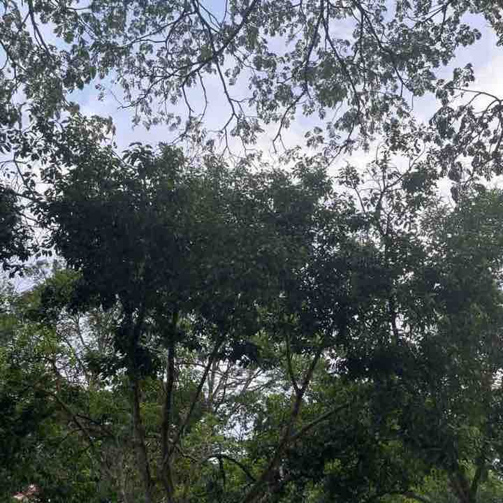 nurulaisyahmustaffa post 1