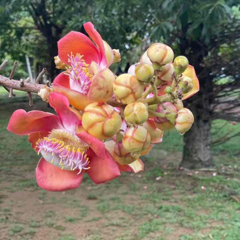 nurulaisyahmustaffa post 1