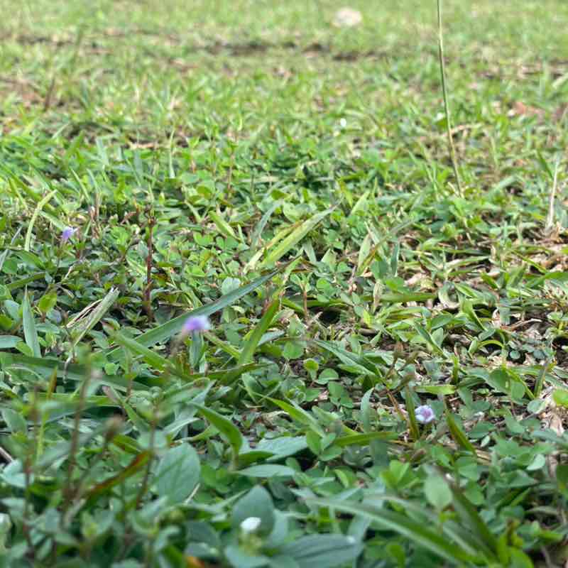 nurulaisyahmustaffa post 1