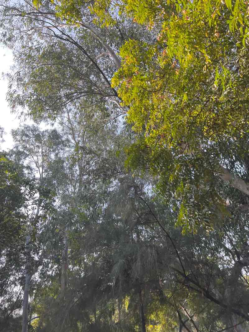 walking near me in Priyadarshani Park in winter