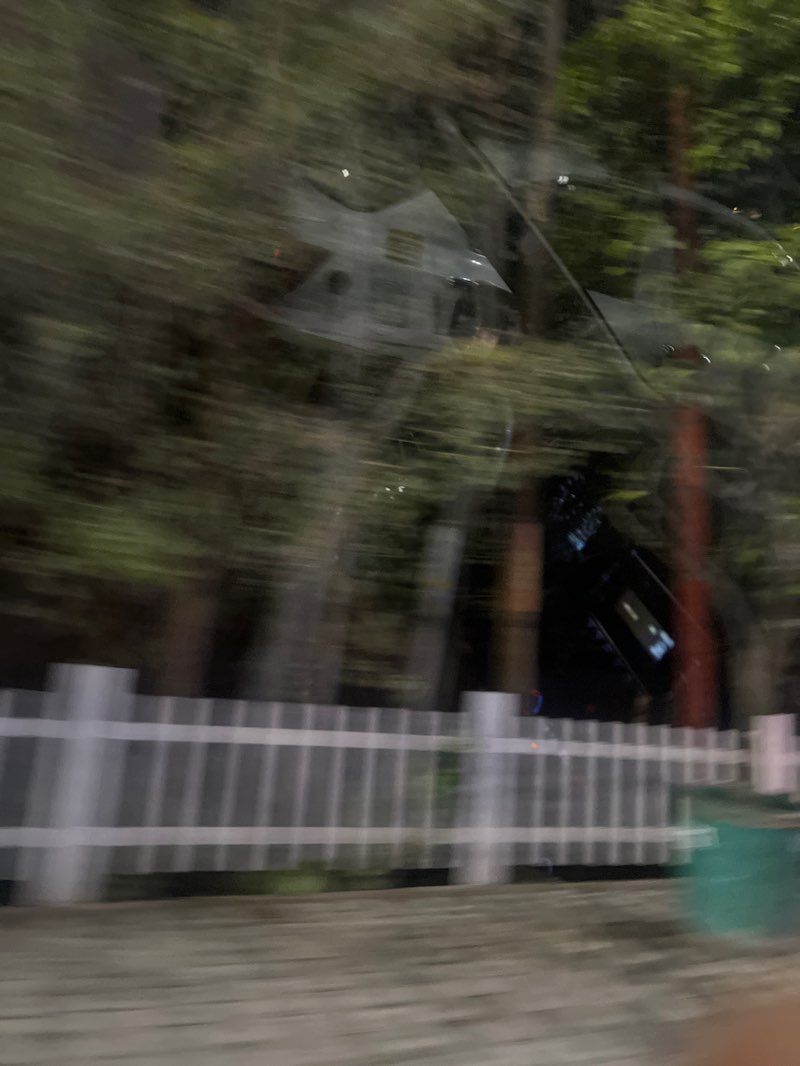 walking near me in Noida Botanical Garden in winter