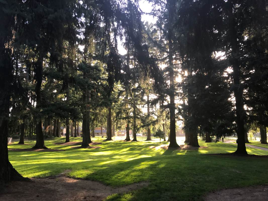 walking near me in Crossroads Park in autumn