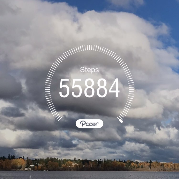 November Distance Challenge MkGregory post image