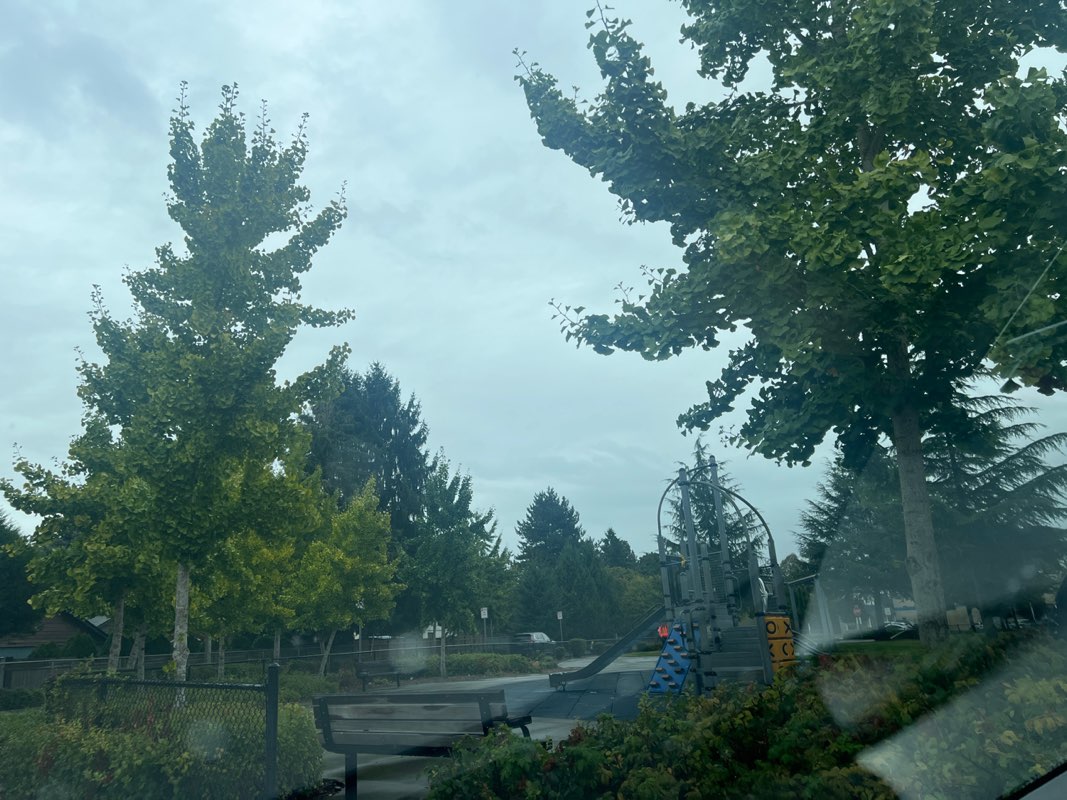walking near me in Gretchen Fraser Park in autumn