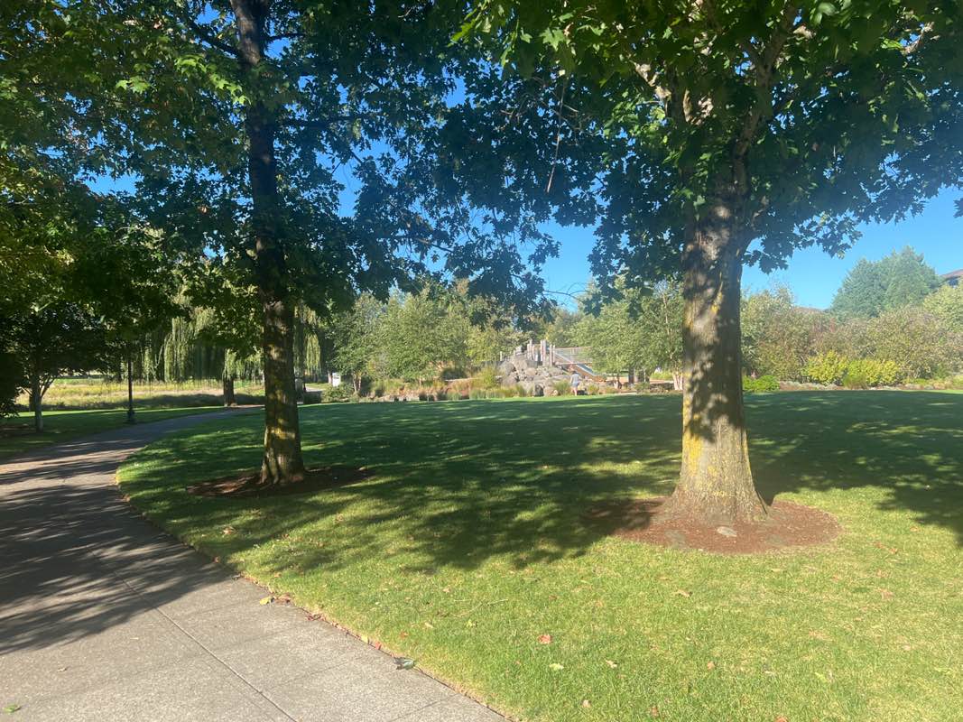 walking near me in CTC Central Park in autumn