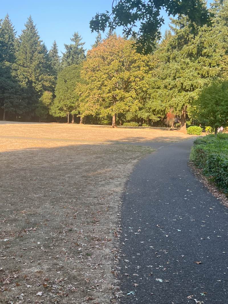 walking near me in Orchards Community Park in autumn