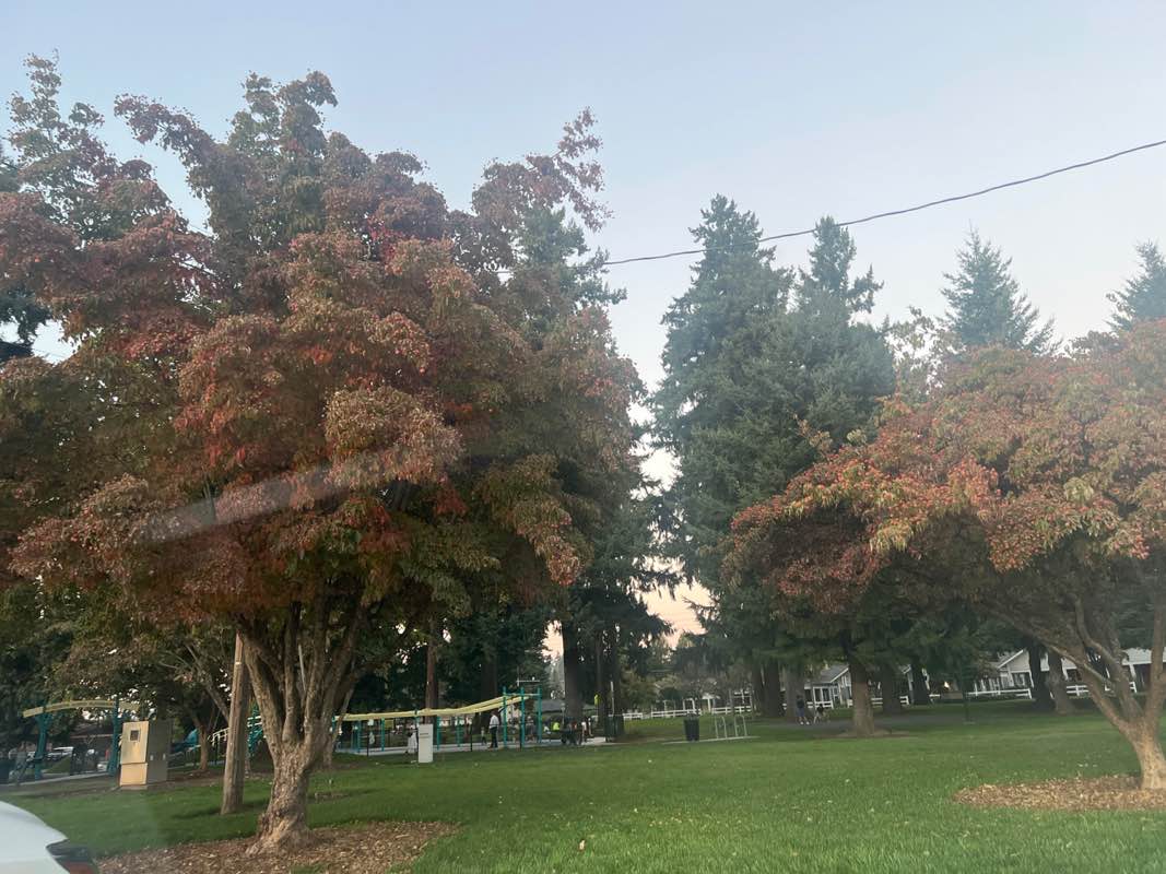 walking near me in Fruit Valley Park in autumn