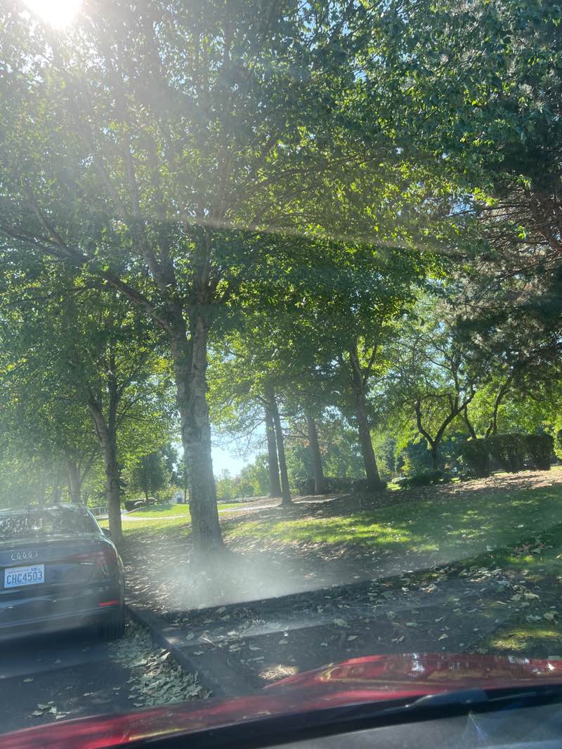 walking near me in Homestead Park in autumn