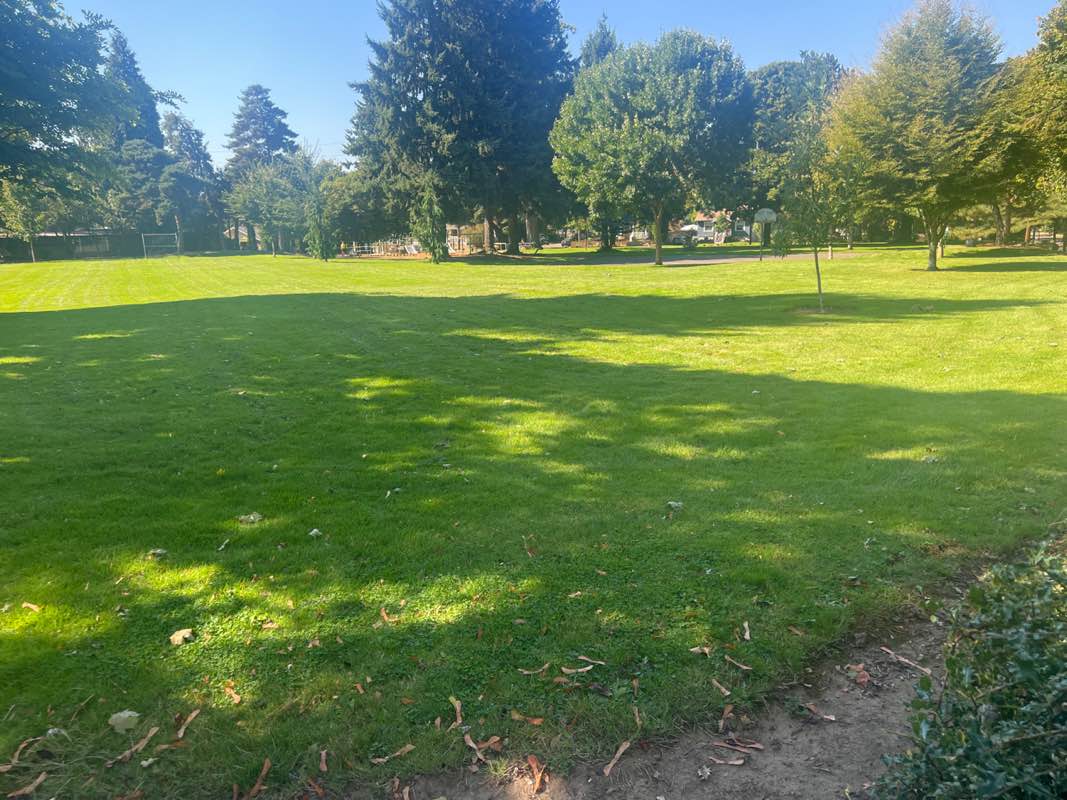 walking near me in John Ball Park in autumn