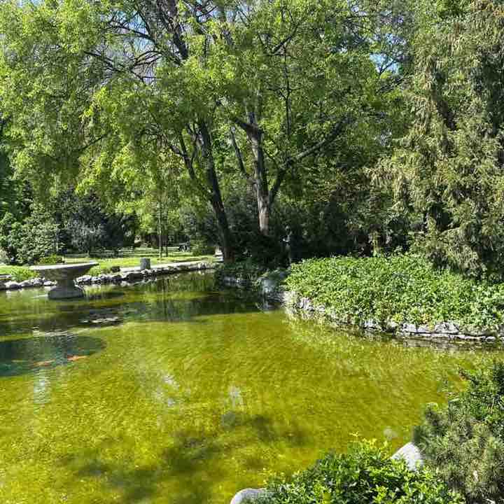 Надежда post 2