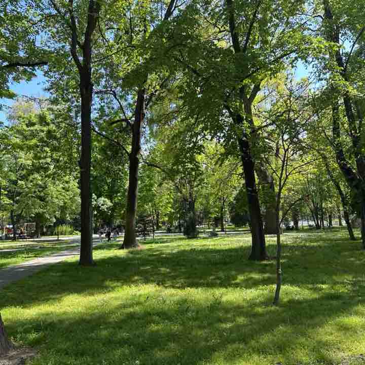 Надежда post 1