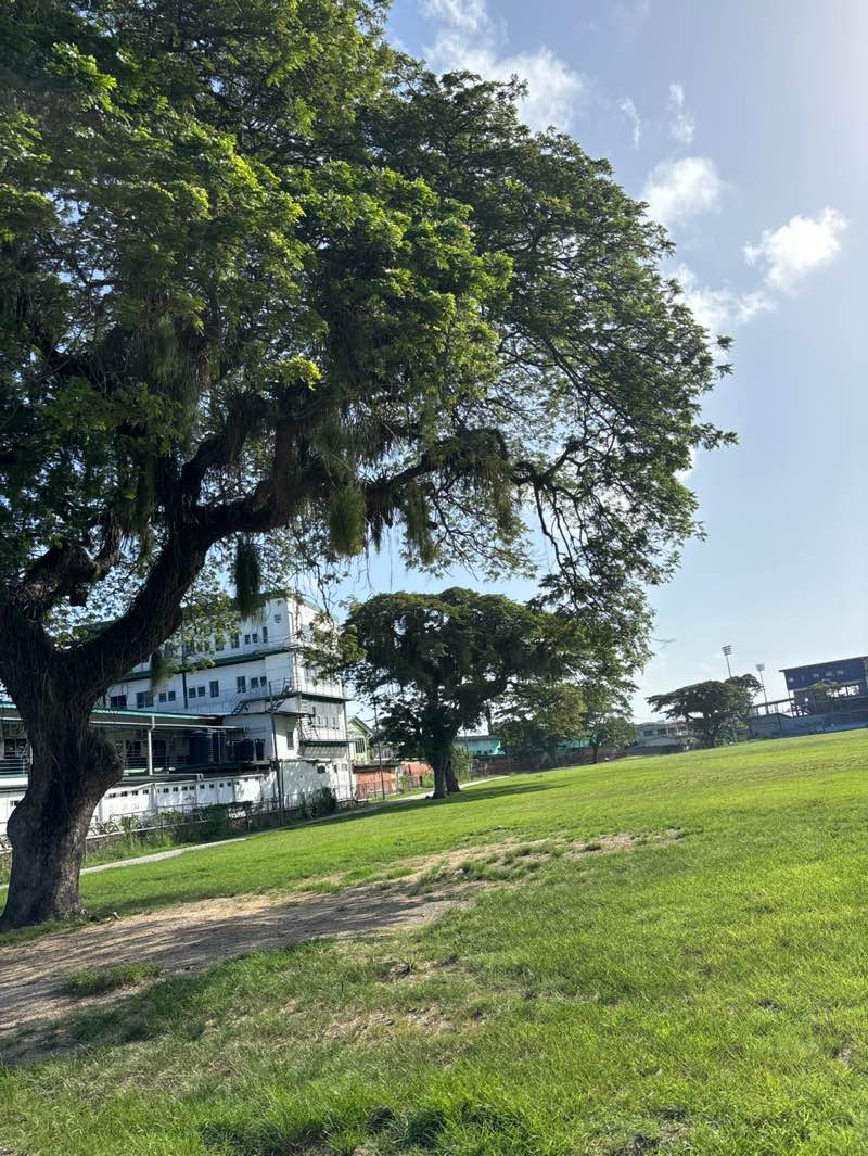 walking near me in Skinner Park in autumn