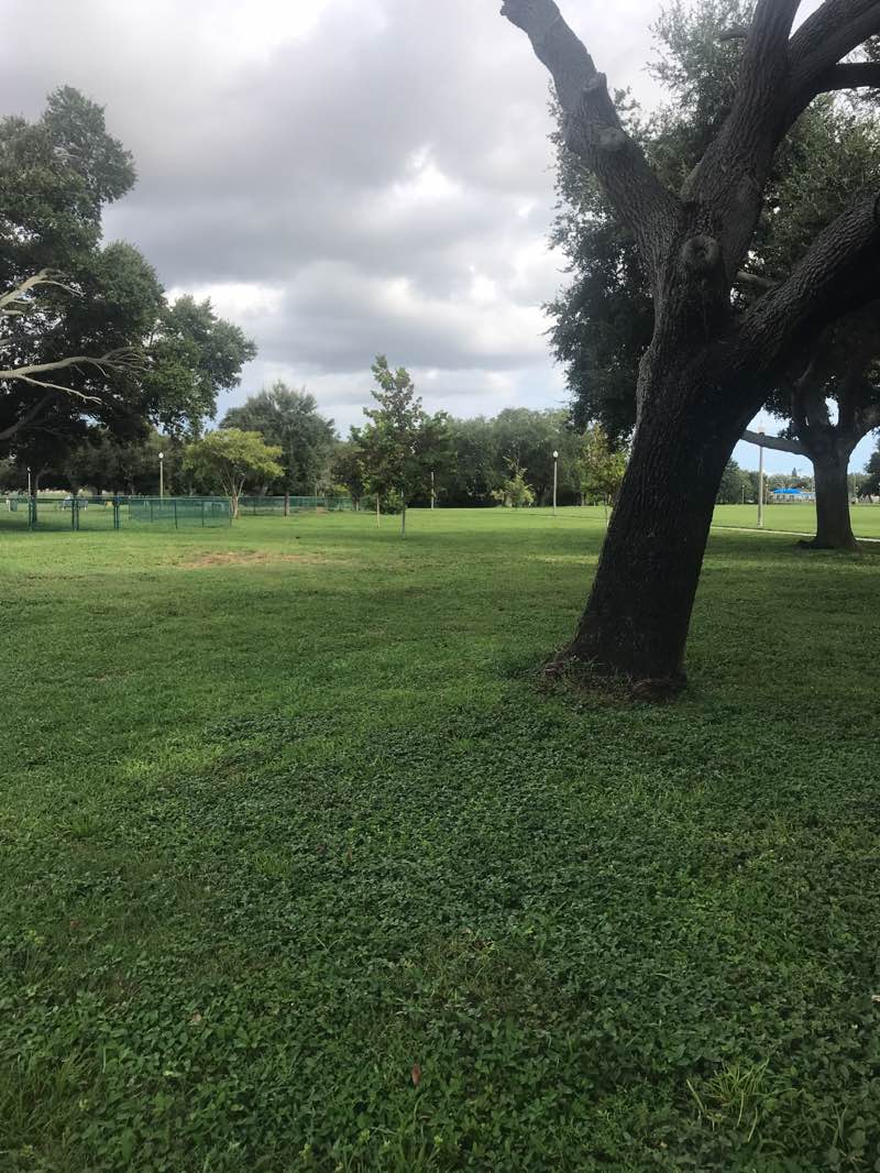 walking near me in Walter Fuller Park in autumn