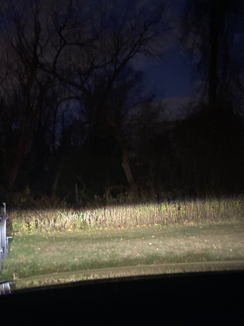 walking near me in Laurel Acres in autumn