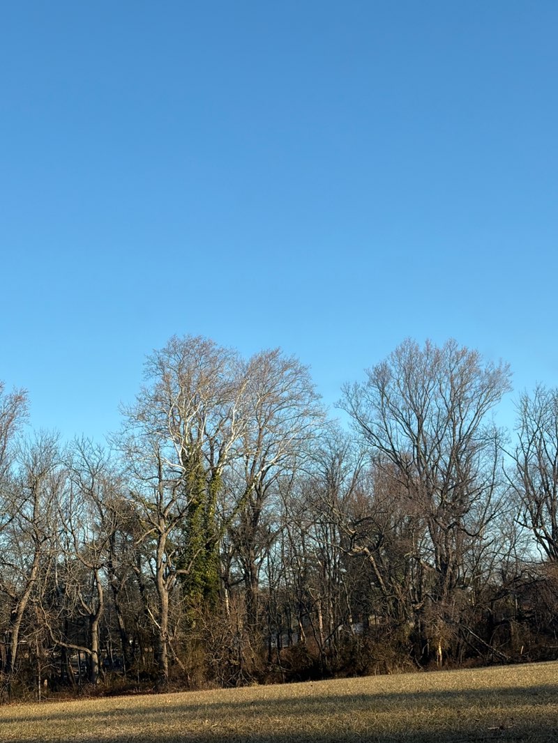 walking near me in Mill Creek Park in winter