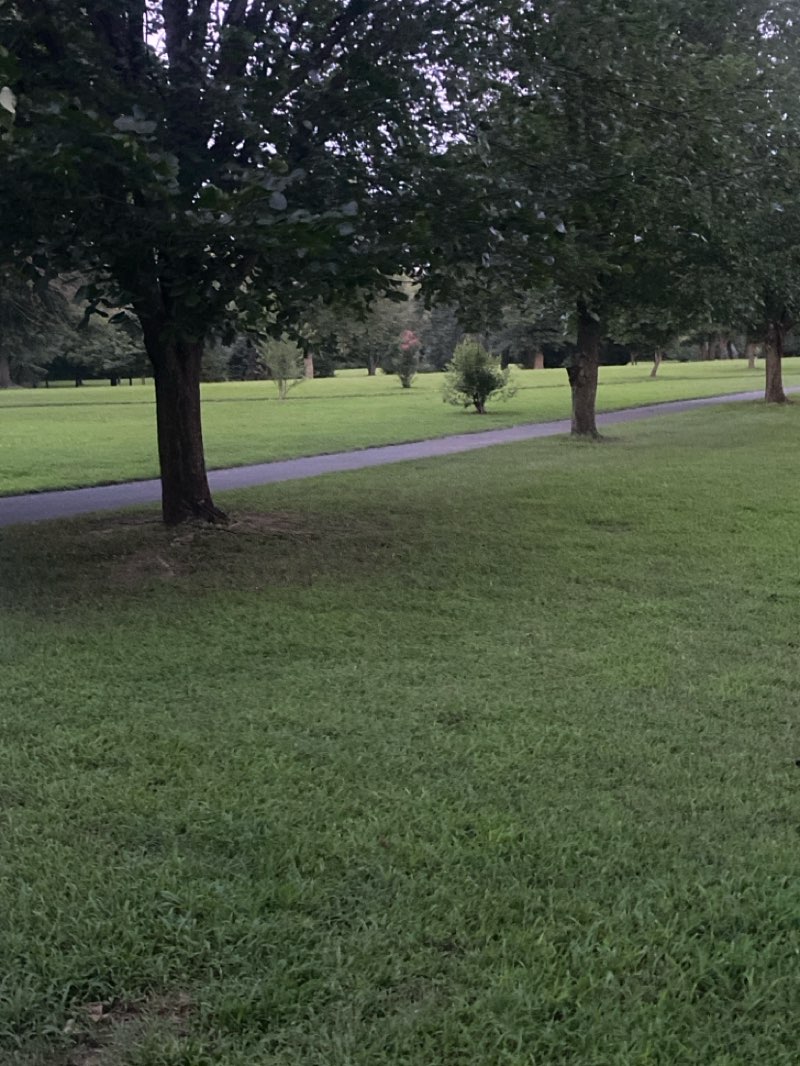 walking near me in Wood Lake Park in autumn