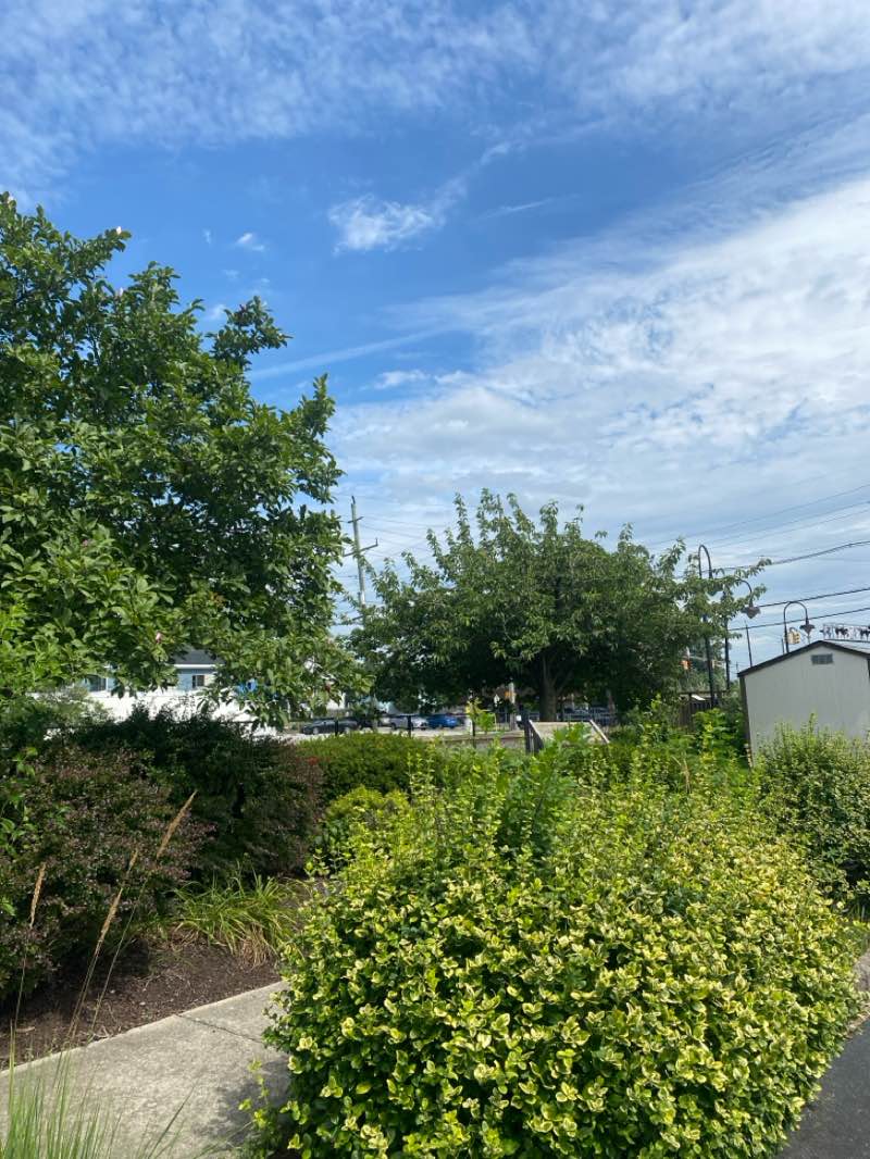 walking near me in Magnolia Train Station Park in autumn