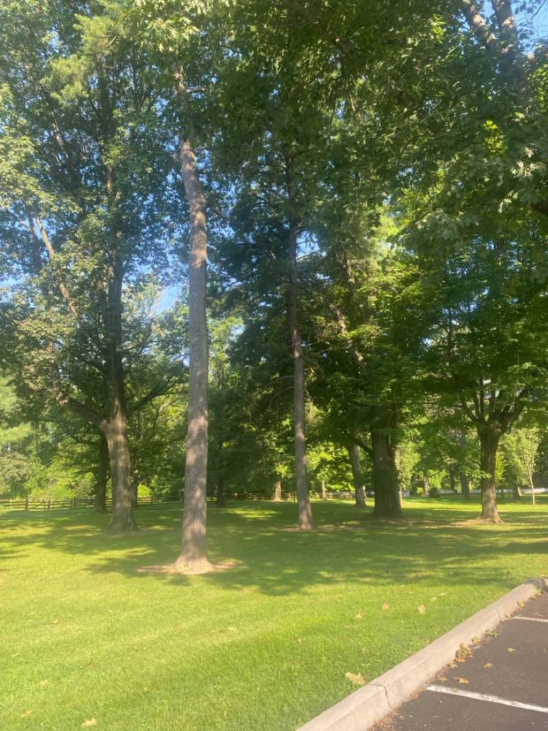 walking near me in Pennsbury Manor State Park in autumn