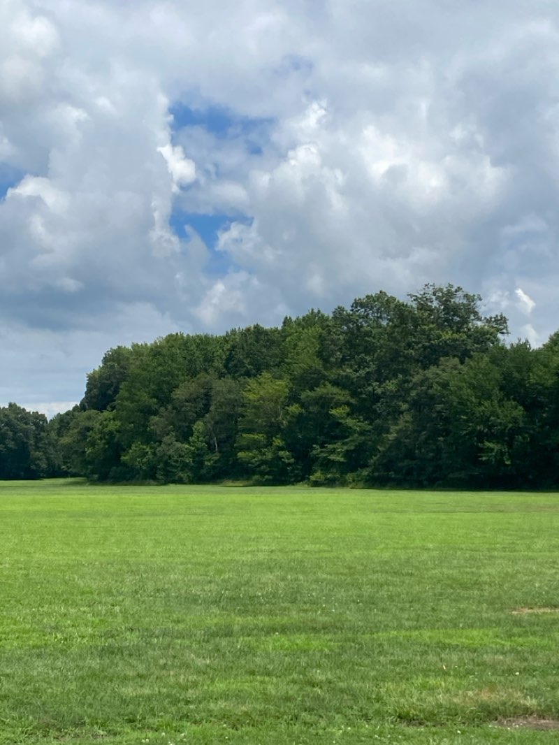 walking near me in Savich Field Park in summer