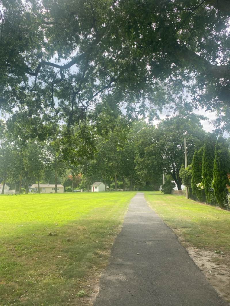 walking near me in Hollyville Park in autumn