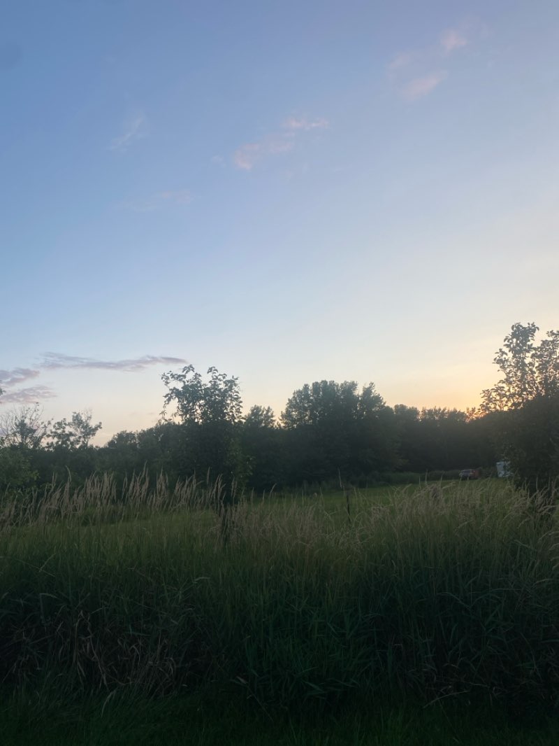 walking near me in Mount Laurel Memorial Park in summer