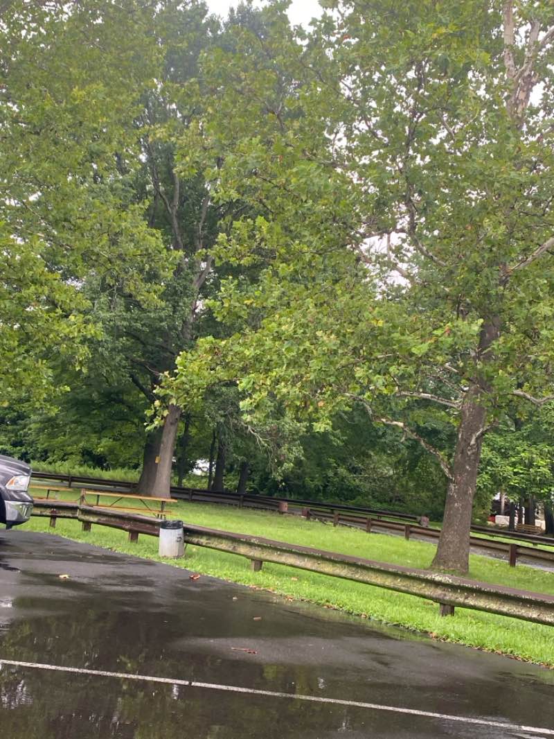 walking near me in Delaware River Access Area in autumn