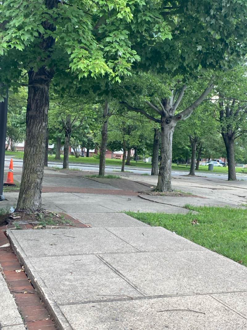 walking near me in North 25 Park in summer