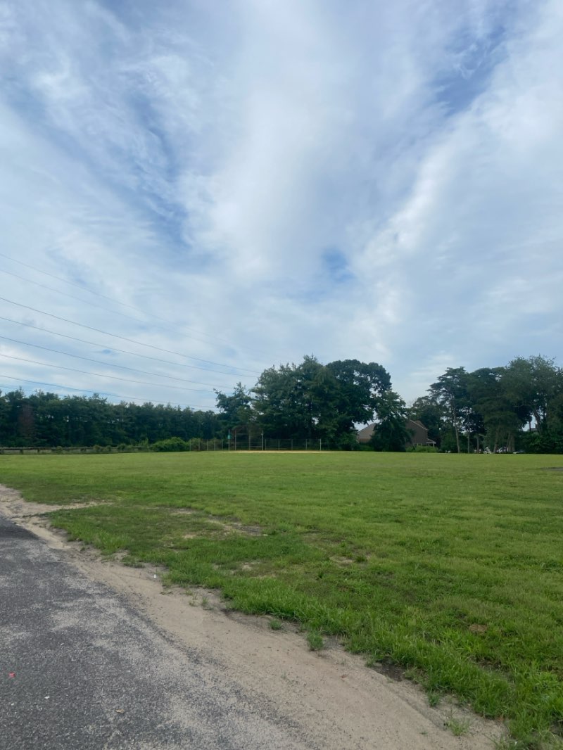 walking near me in Timbercreek Park in summer
