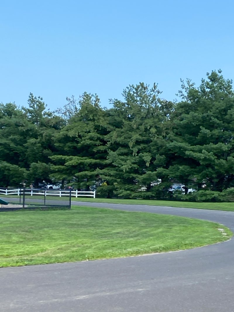 walking near me in Evesboro Downs in autumn