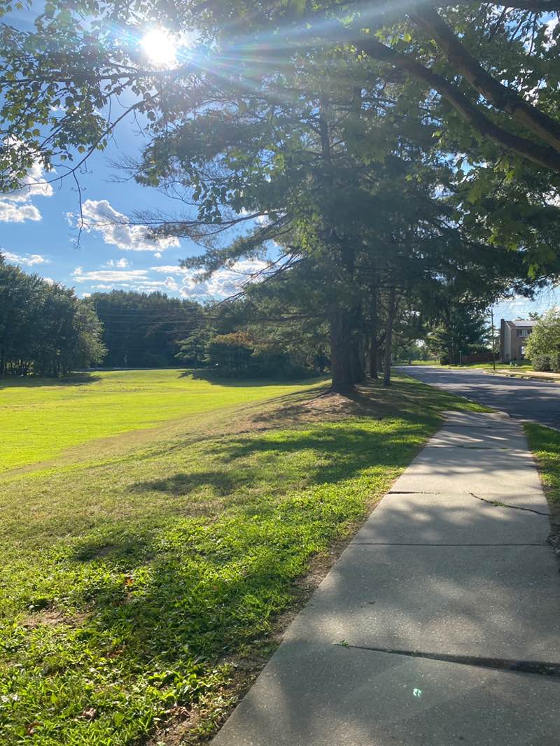 walking near me in Springbrook Park in autumn