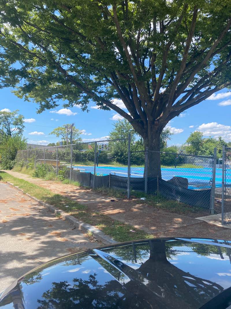 walking near me in Eastside Park in autumn