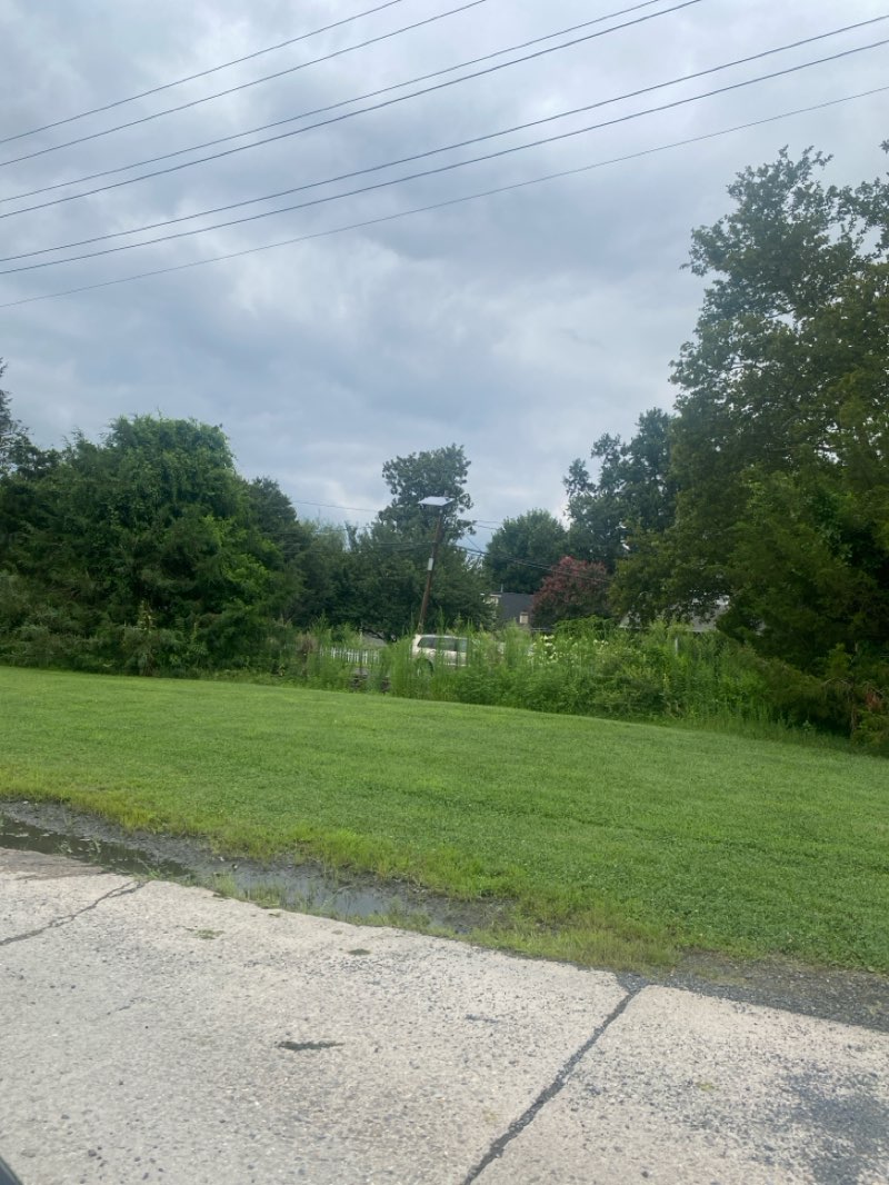 walking near me in Locust Street Park in autumn