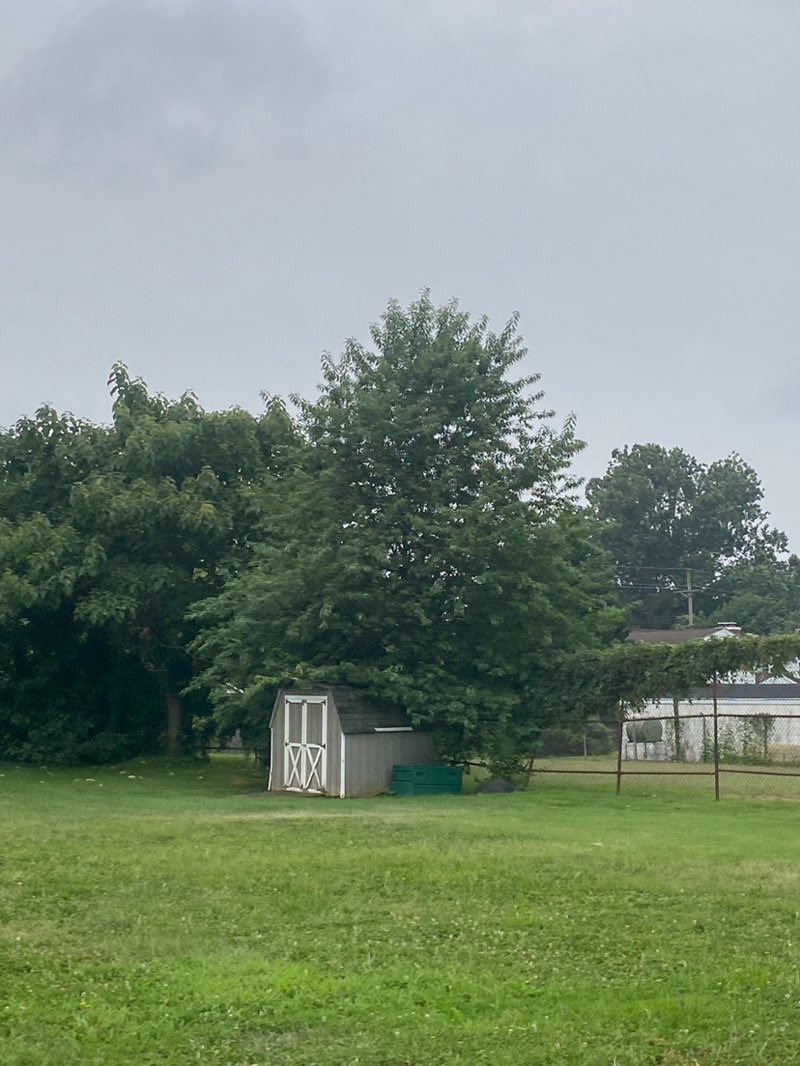 walking near me in Community Gardens Park in autumn