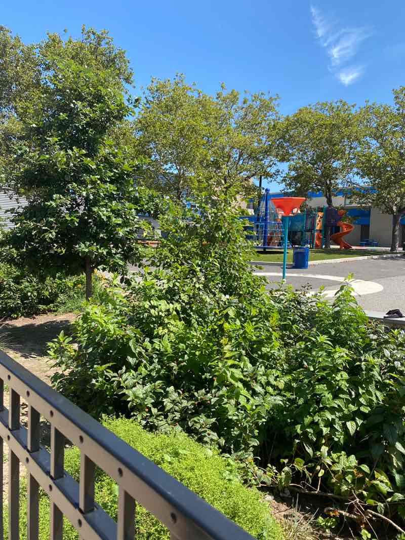 walking near me in Northgate II Park in autumn