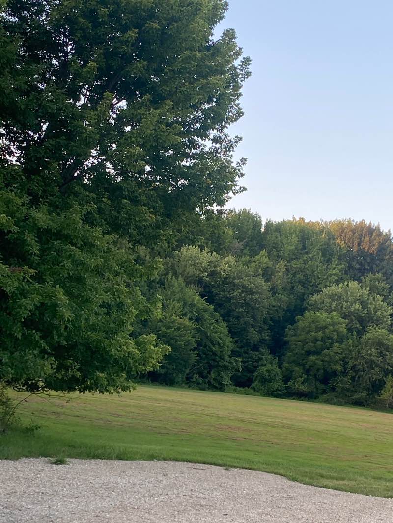 walking near me in Mill Run Park in autumn