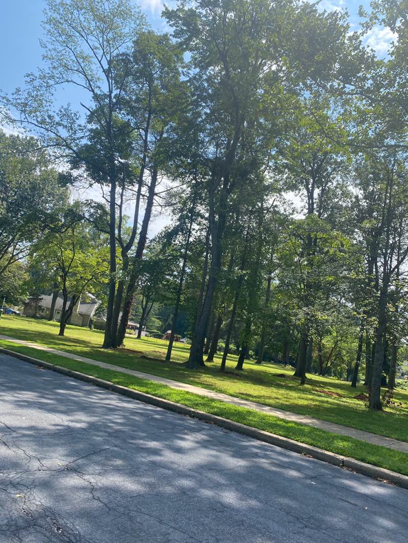 walking near me in Lakeview Park in autumn