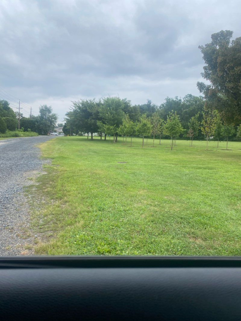 walking near me in Locust Street Park in autumn