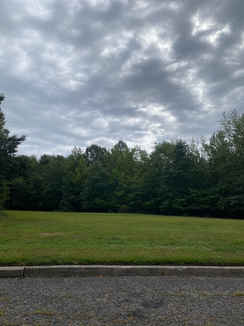 walking near me in Willow Ridge Park in autumn