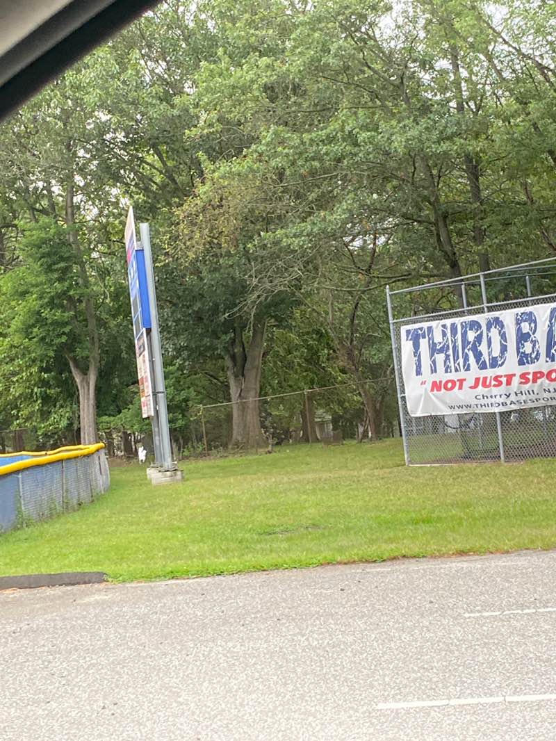 walking near me in Cherry Hill American Little League in autumn