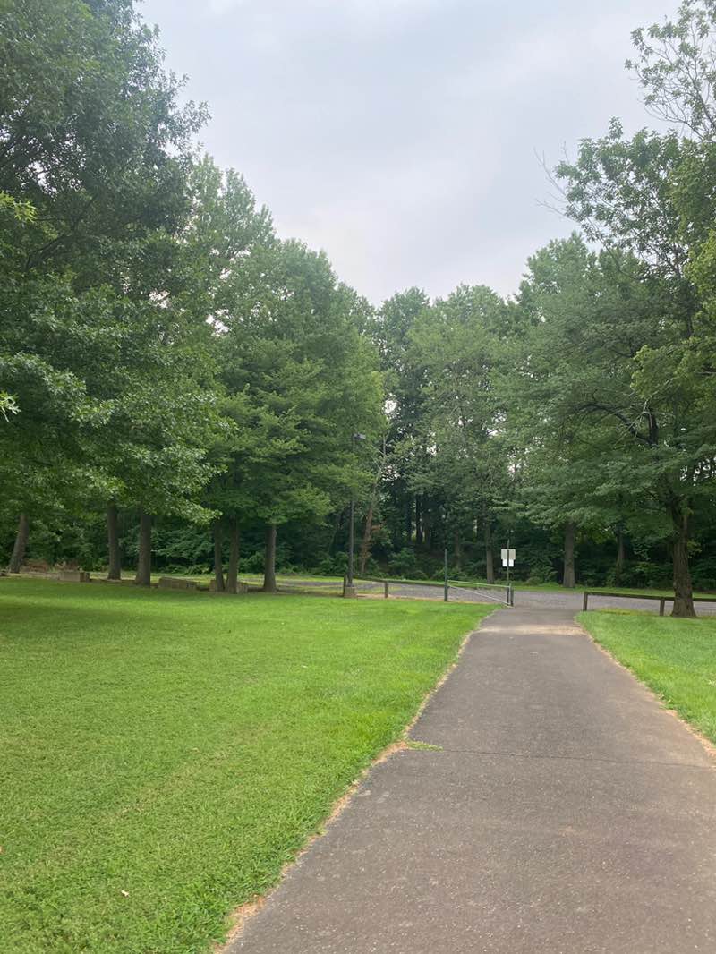 walking near me in Yezzi Park in autumn