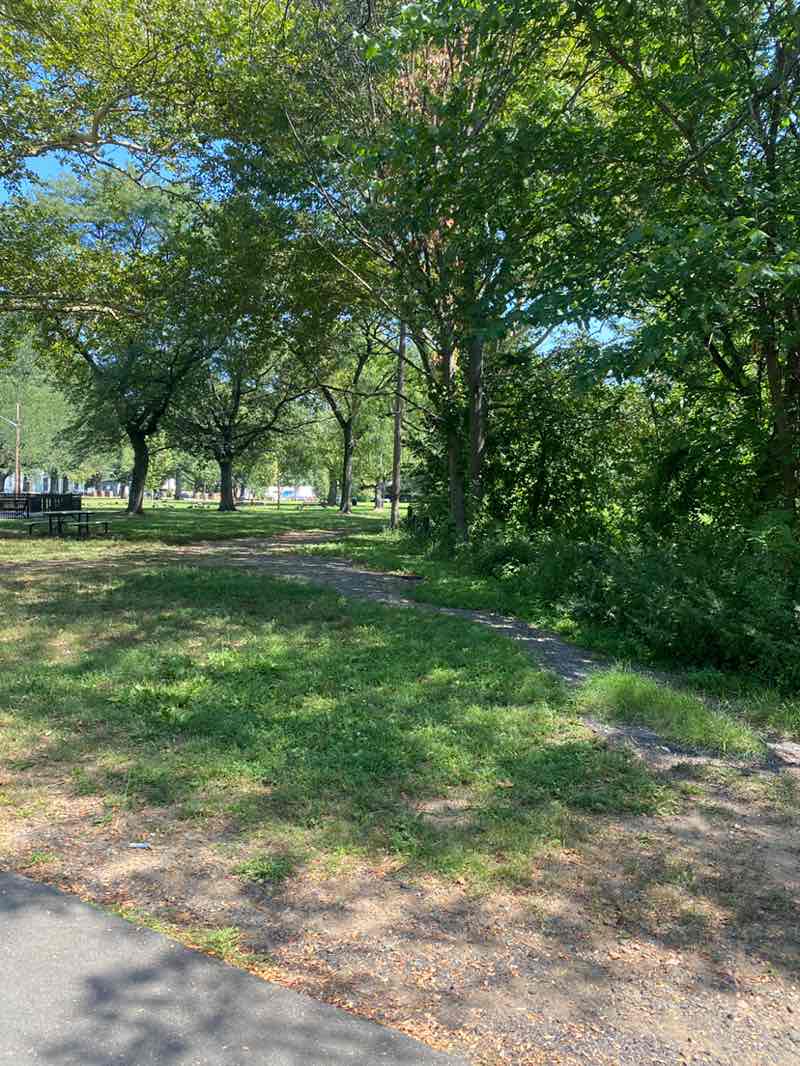 walking near me in George Page Park in autumn