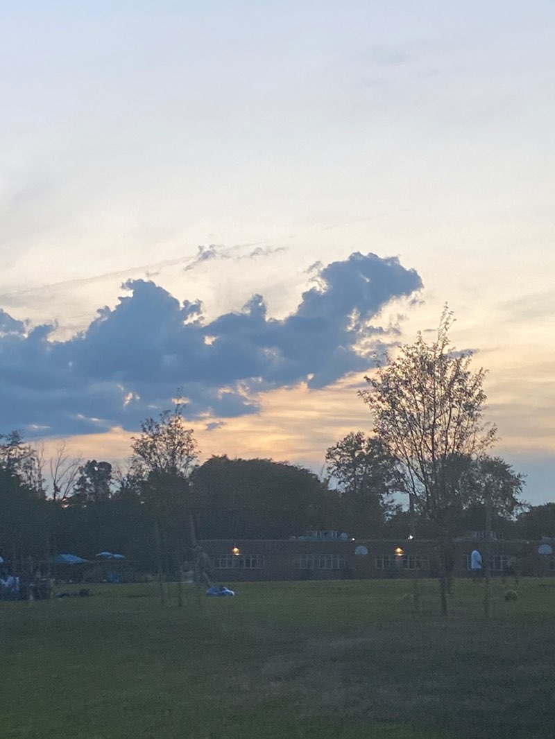 walking near me in Cranford Road Park in autumn