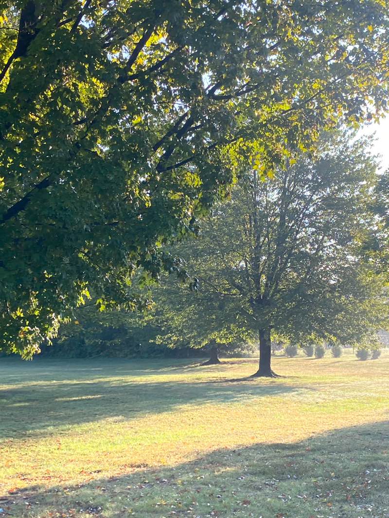 walking near me in Macclesfield Park in autumn