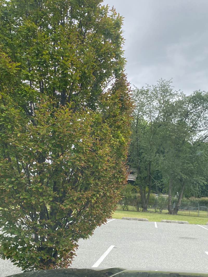 walking near me in Audubon Sports Complex in autumn