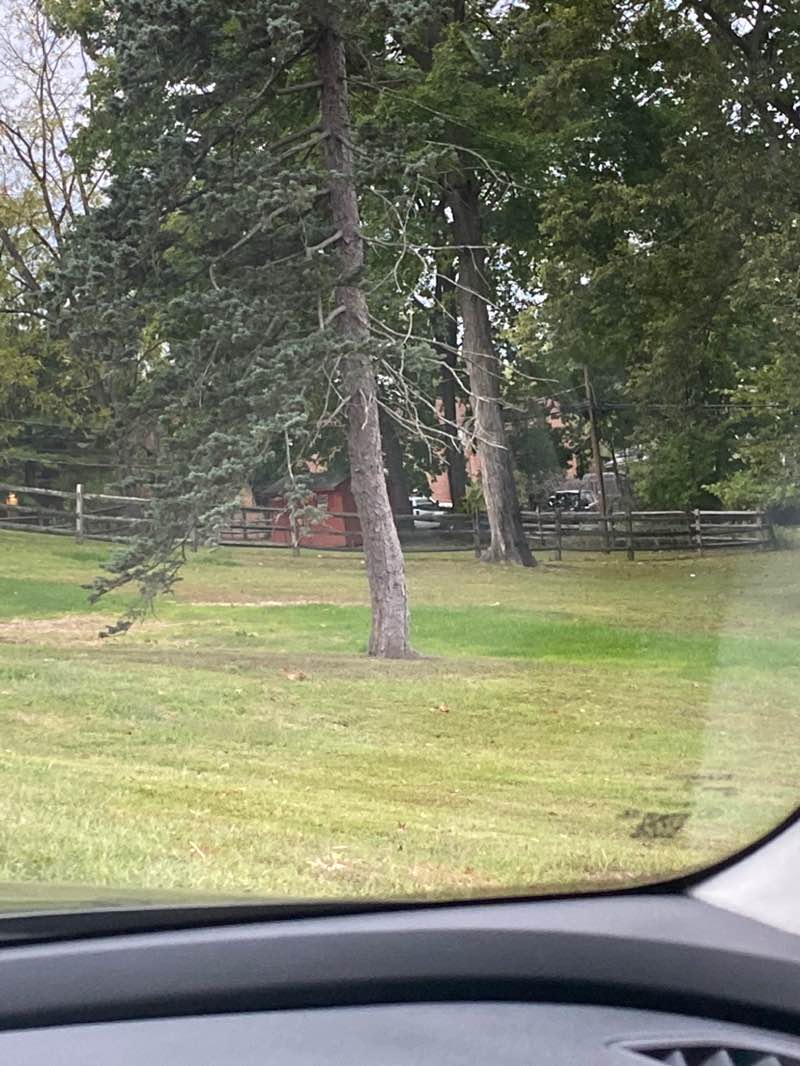 walking near me in Buttonwood Park in autumn